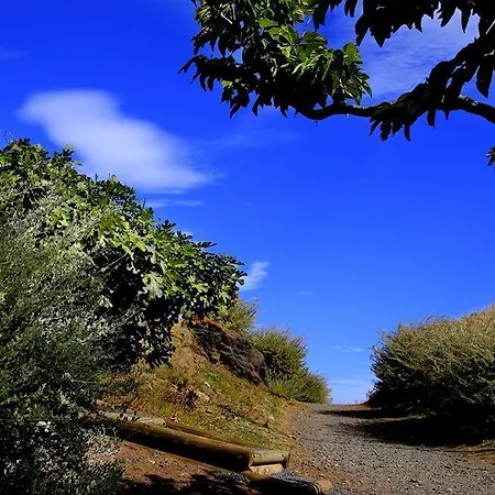 Thalacap Lägenhetshotell